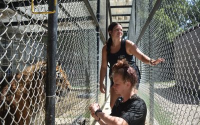In-Sync recognizes zookeepers