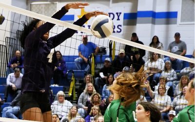 Lady Farmers volleyball earn all-district awards