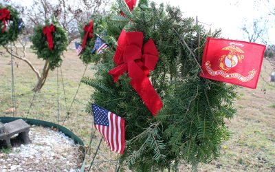 Wreaths across America honors veterans