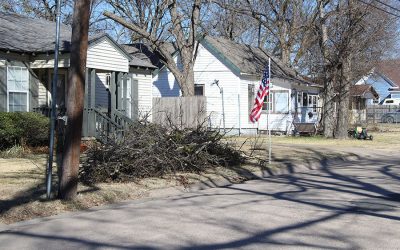 City offers tree limb pickup