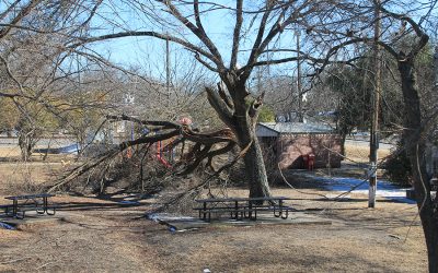 Power failure, storm damage affect many