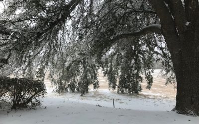 Chief summarizes storm details, lauds four ‘heroes’