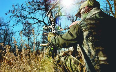 Commissioners oppose firearms to take deer in Collin County