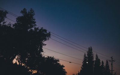 Weather, vegetation cause power problems