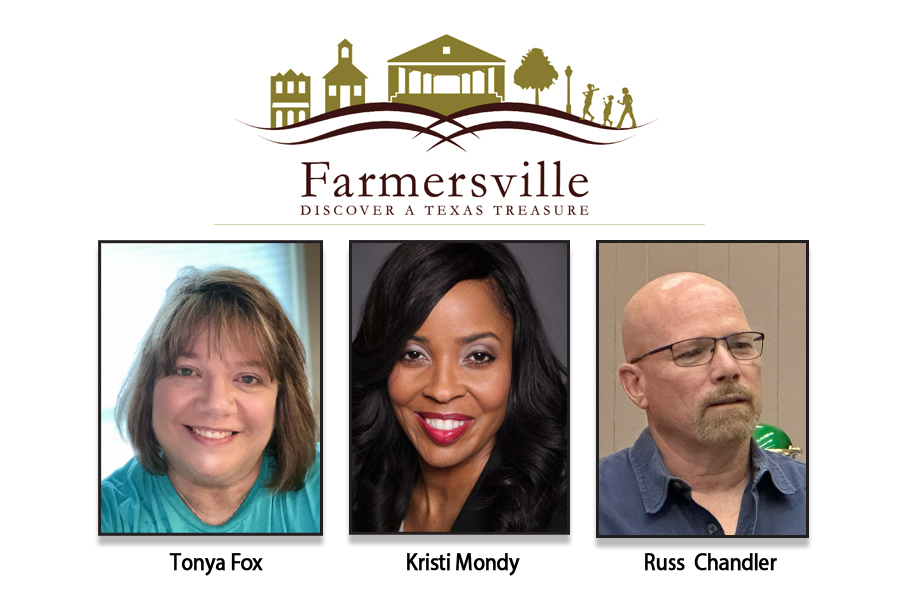 Council seats filled through appointments, election