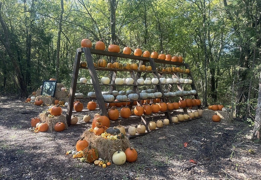 Fall festival offers gourds, games and gathering