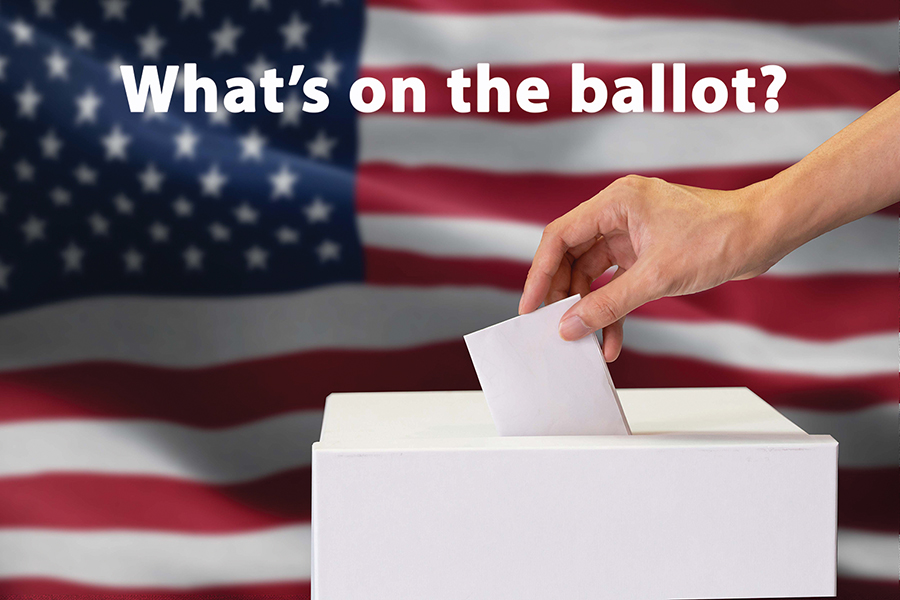 Texas voters to weigh 17 Constitutional Amendments