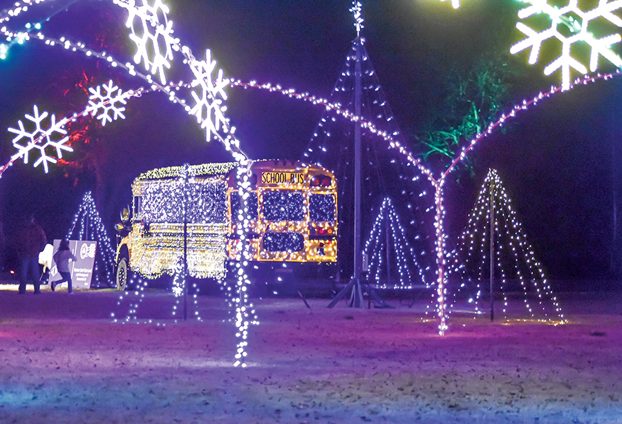 City set to shine with festive lineup of events