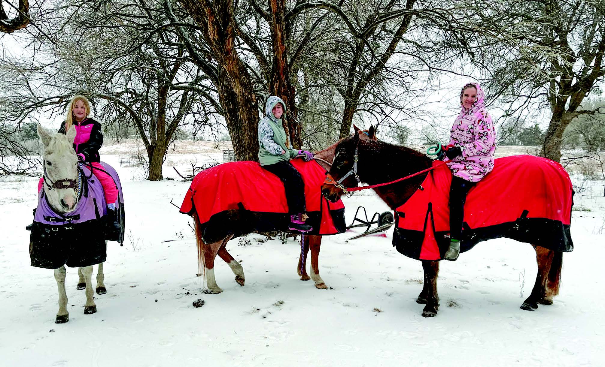 Deep freeze grips Collin County