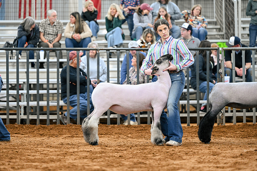 Farmersville ISD ag students excel at county show