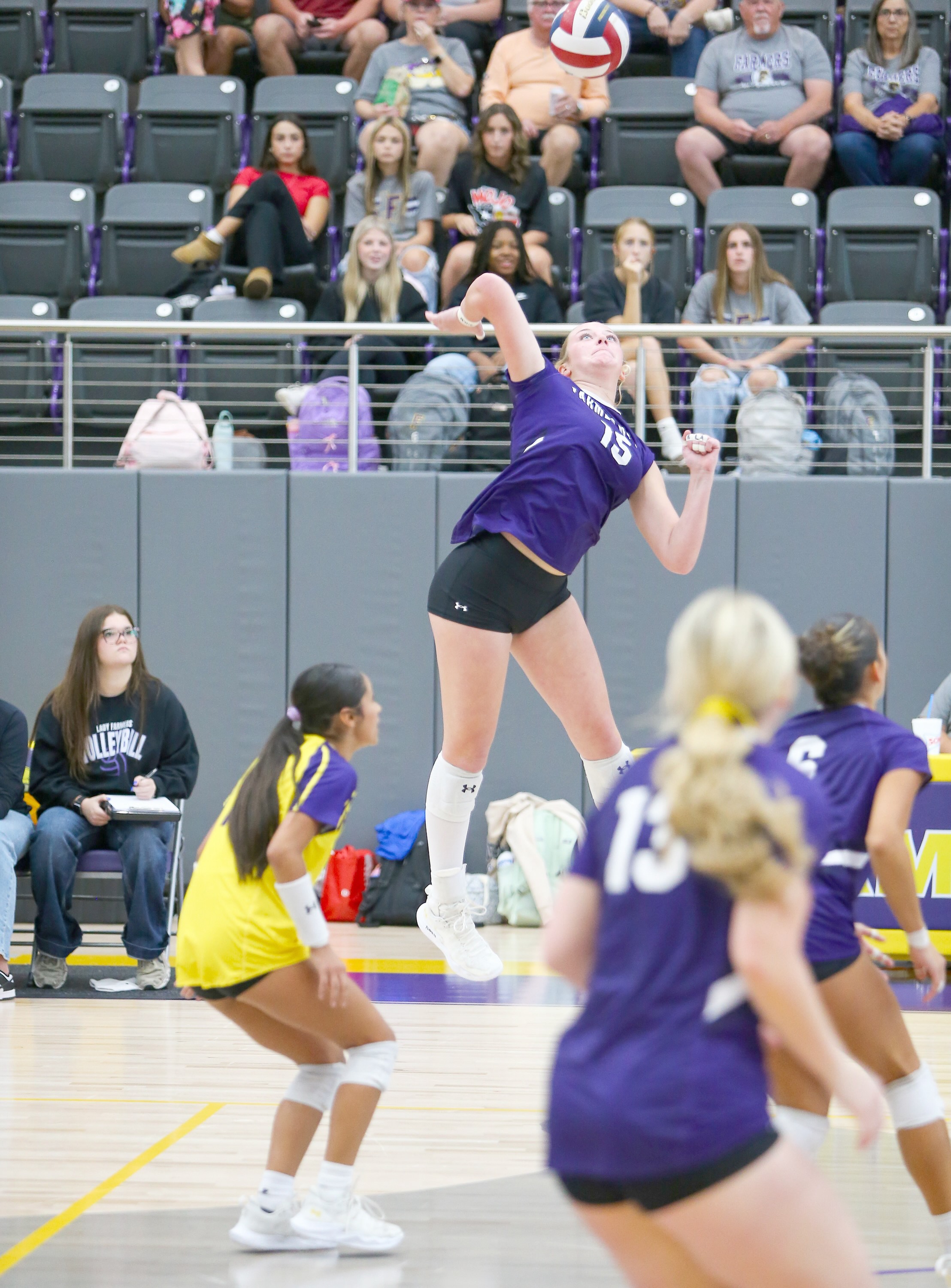 Purser named to Blue Bell/TSWA all-state team