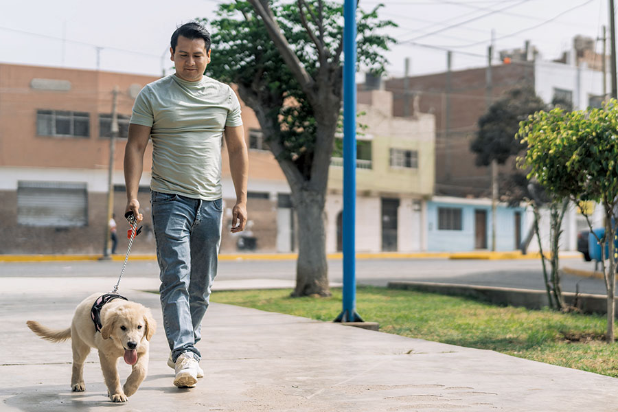 Walk More to Stress Less:  Get Moving to Improve Well-Being